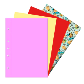 Carpeta A4 (2 Tapas) de Carton Montado surtido x 25 u