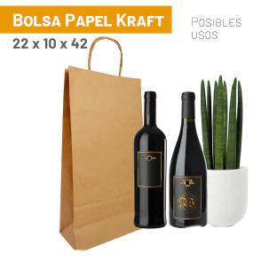 Bolsas Kraft 22x10x42 cm x 100 u