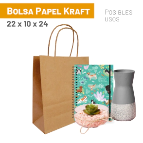 Bolsas Kraft 22x10x24 cm x 100 u