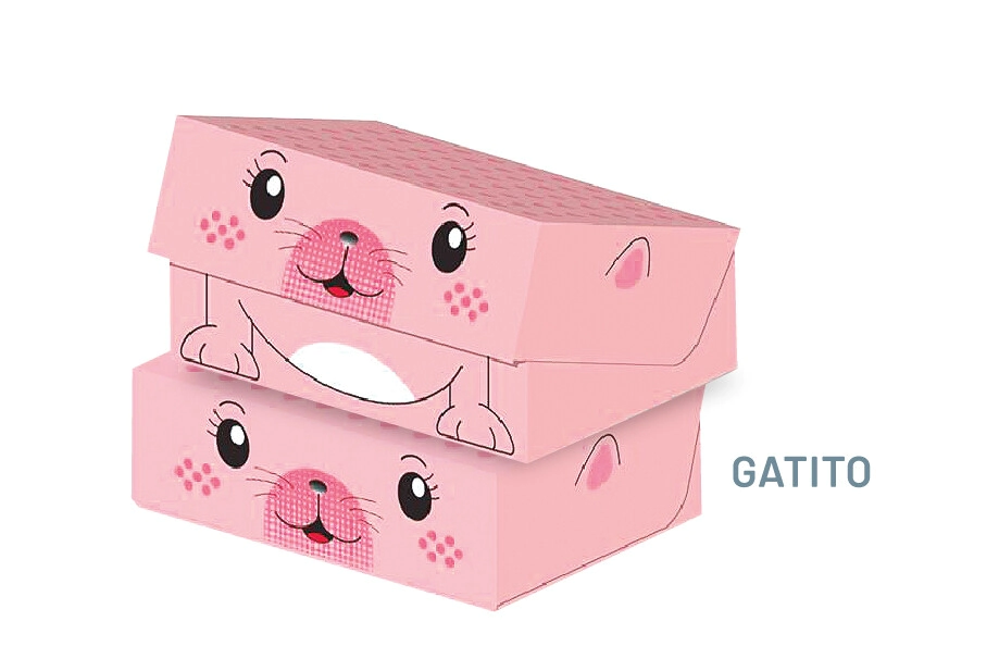 Cajas Archivo Legajo 12 IDEAS DE CARTOON Gatito x 3u.