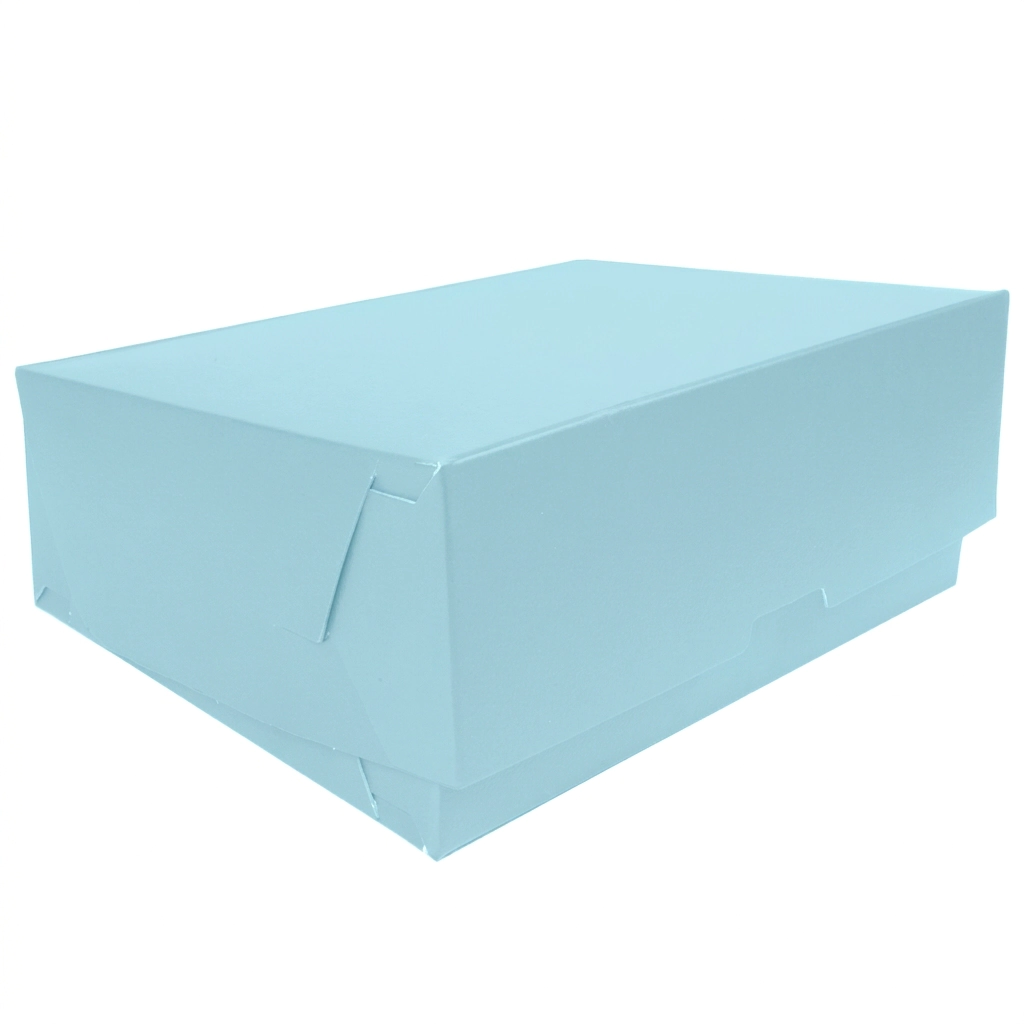Cajas Archivo Legajo Lomo12 cm. x 3 u. - CELESTE PASTEL