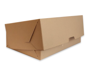 Cajas Archivo Legajo Lomo12 cm. kraft x 10 un.